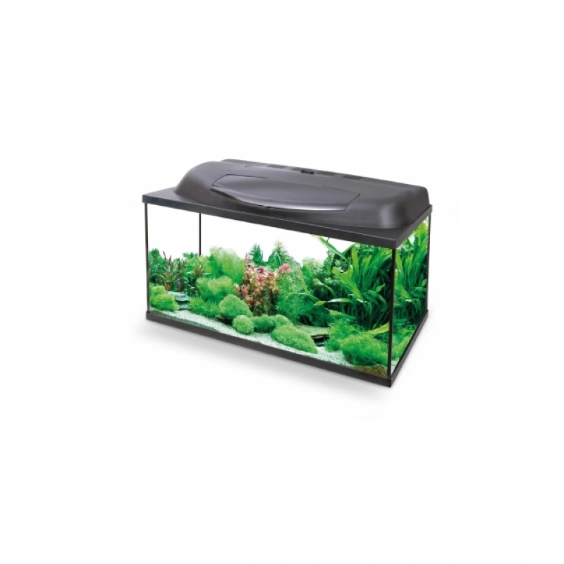 3568-akvaarium-aqael-aqua-4-s.png.webp