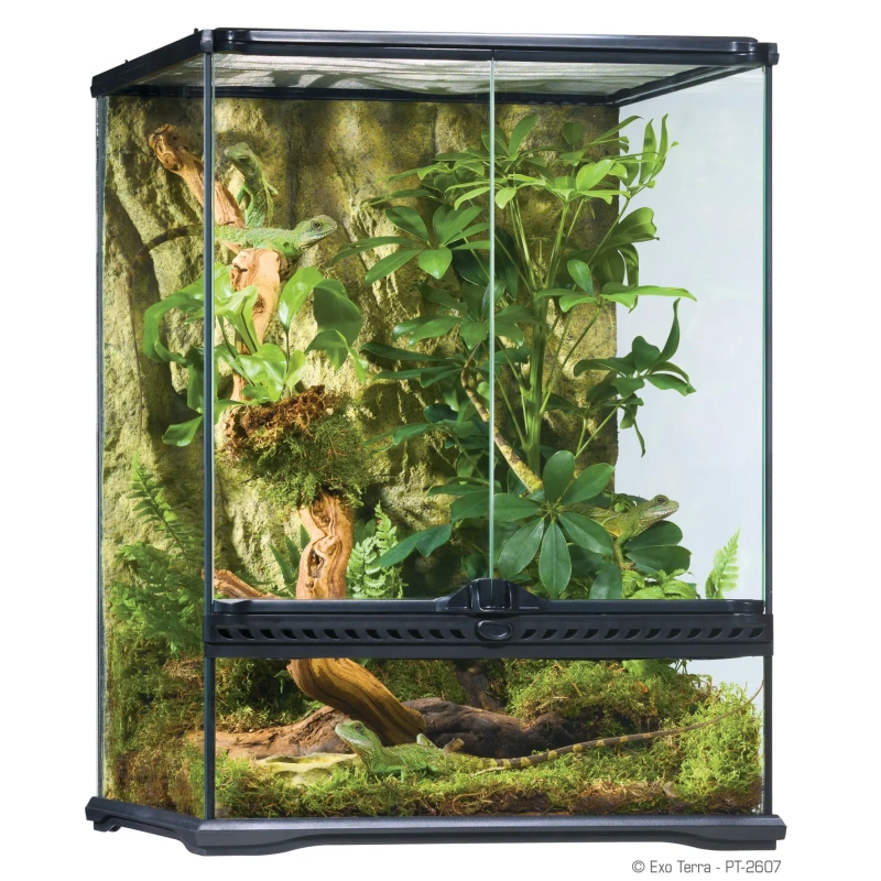 3647-exo-terra-terrarium-szkl-22.jpg.webp