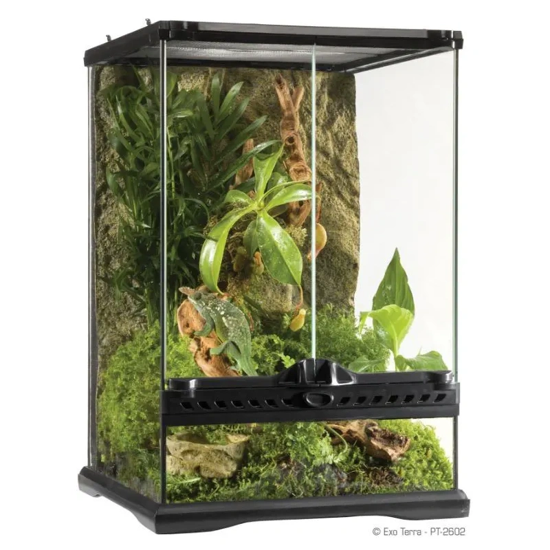 3651-exo-terra-terrarium-szkl-12.jpg.webp