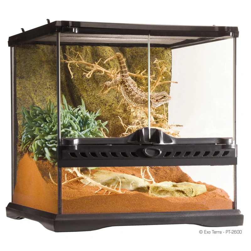 3655-exo-terra-terrarium-szkl-15.jpg.webp