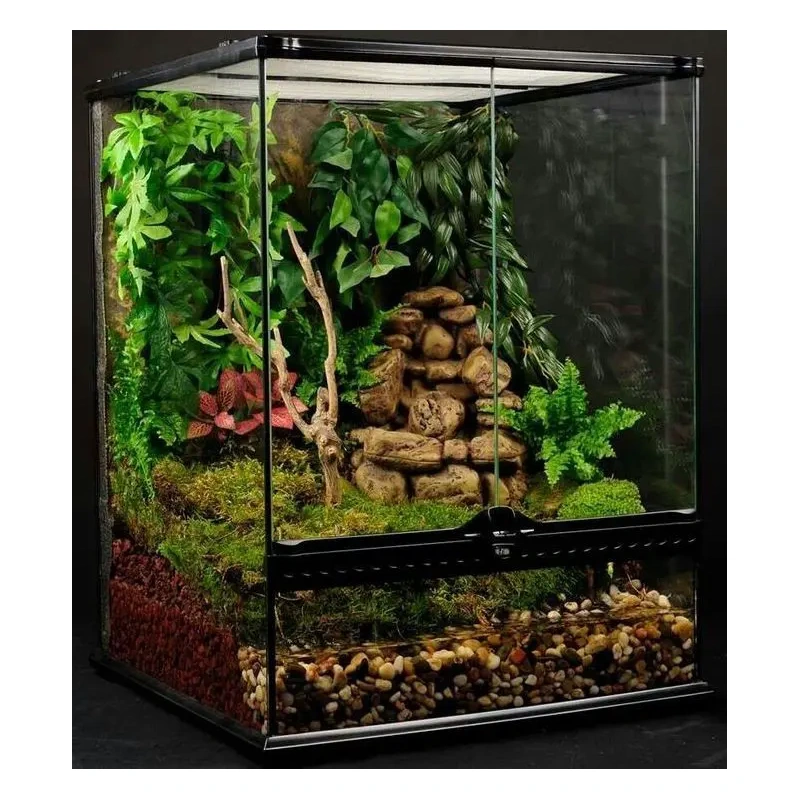 3655-exo-terra-terrarium-szkl-5.jpg.webp