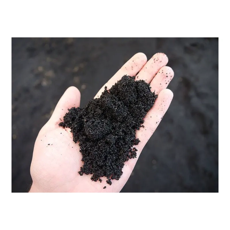 3659-exo-terra-black-sand-45k-1.jpg.webp