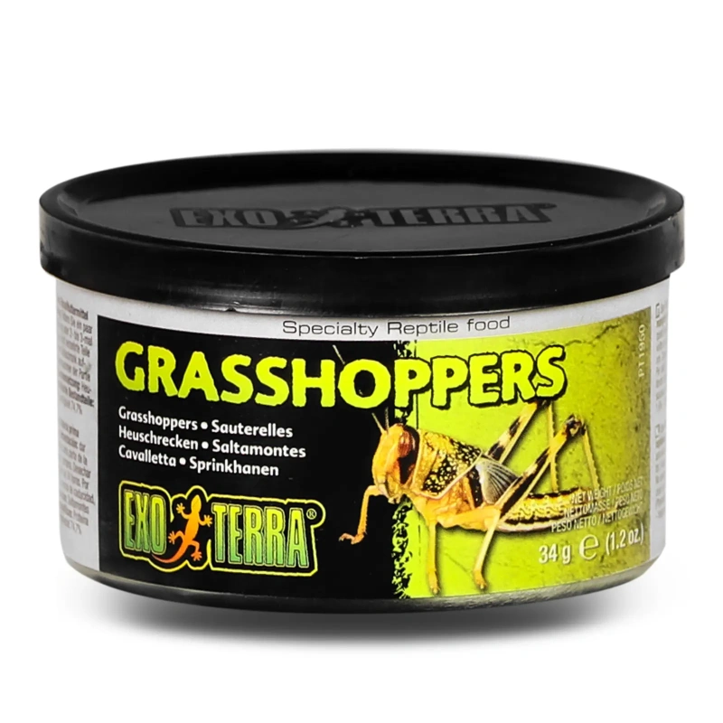 3664-exo-terra-grasshoppers-p-1.jpg.webp
