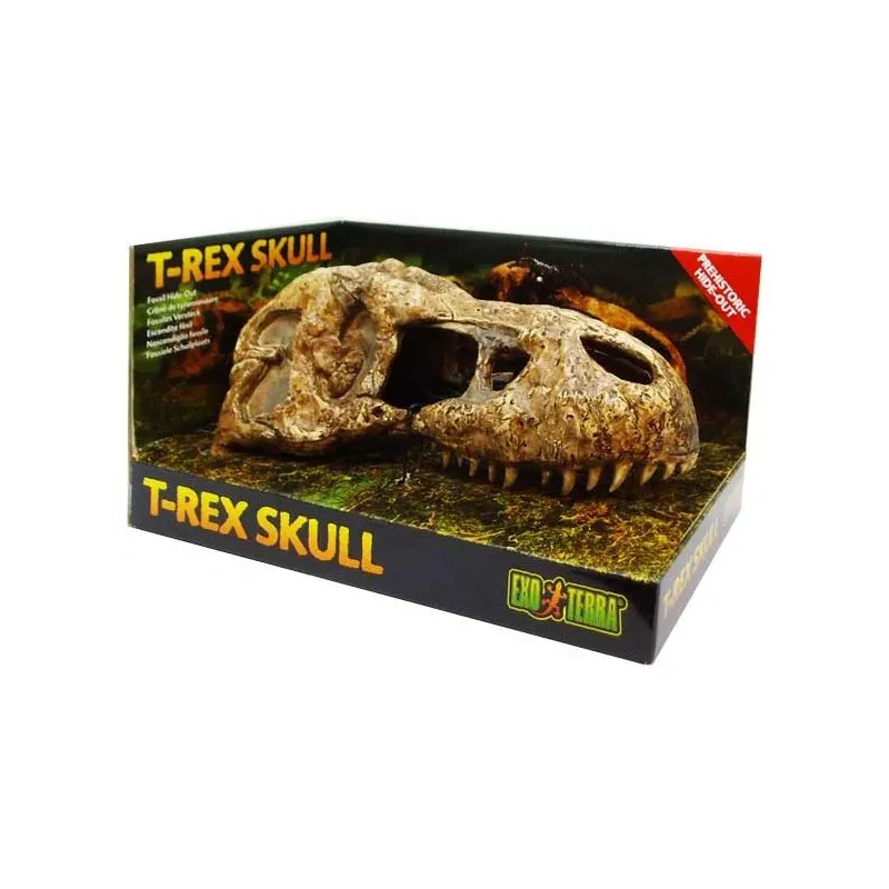 3671-exo-terra-t-rex-skull-cz.jpg.webp