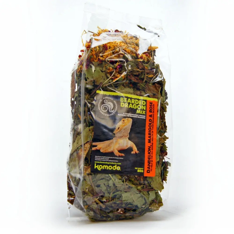 3696-komodo-beared-dragon-mix.jpg.webp