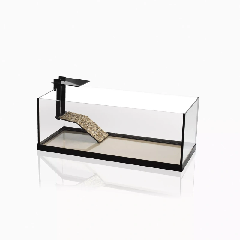3899-123968-aquaterrarium-60-01-792.webp.webp
