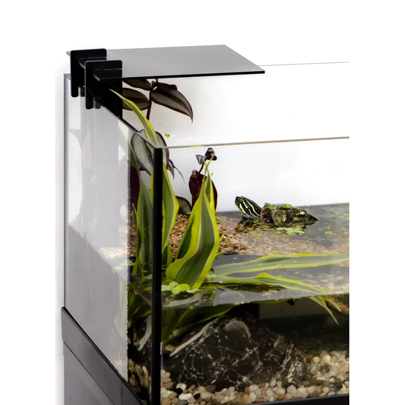 3899-123968-aquaterrarium-60-06-295.webp.webp