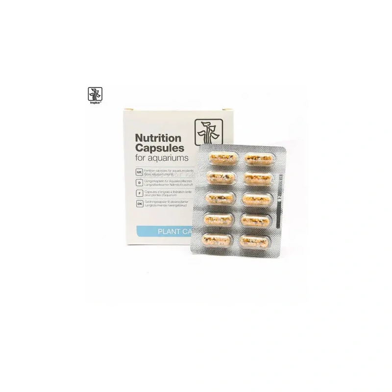 4038-nutrition-capsules.jpg.webp