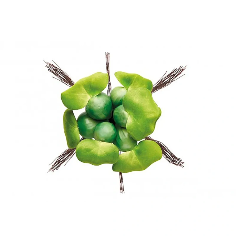 4251-pontec-pondohyacinth-ply.jpg.webp