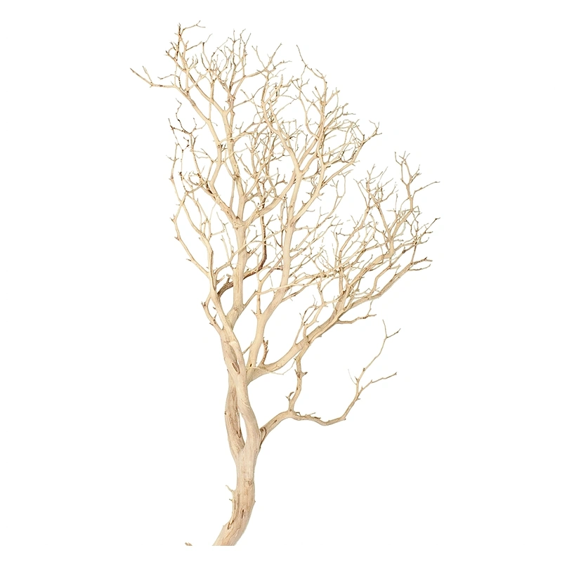 4313-korzen-dekoracyjny-drift-wood-1.png.webp