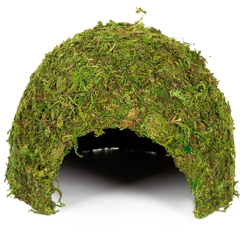 4510-repti-zoo-natural-mossy-66.jpg.webp