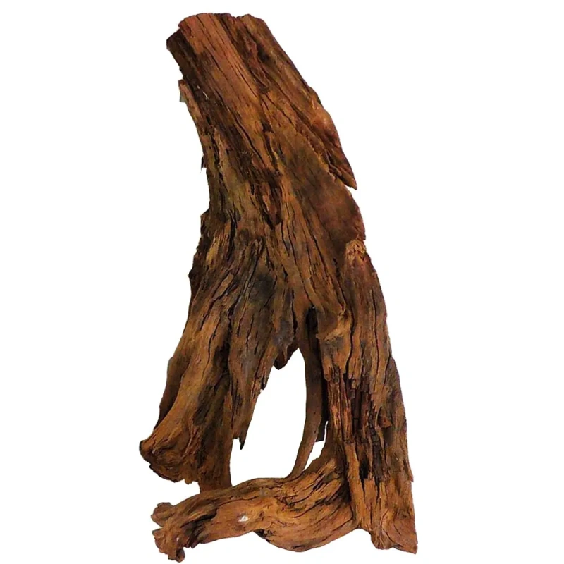 5674-malaysian-driftwood-xl-korzen-40-60cm-1.jpg.webp