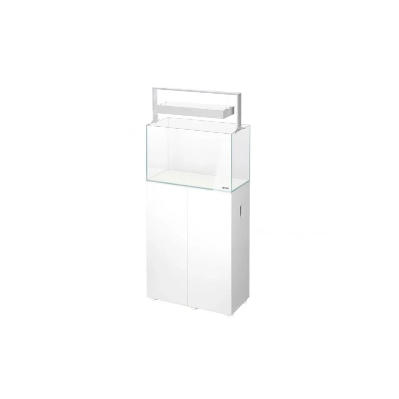 6131-snow60-2x555x498x.webp.webp