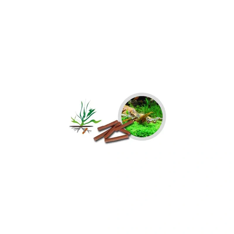 6645-84995-ngrkyu0usmbj-jpg-1.jpg.webp