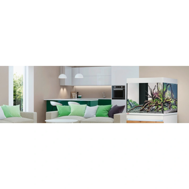 6728-incpria-230.png.webp
