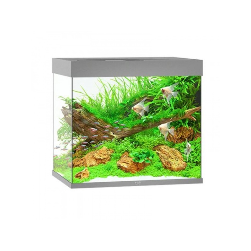 lido200greyaquarium.jpg