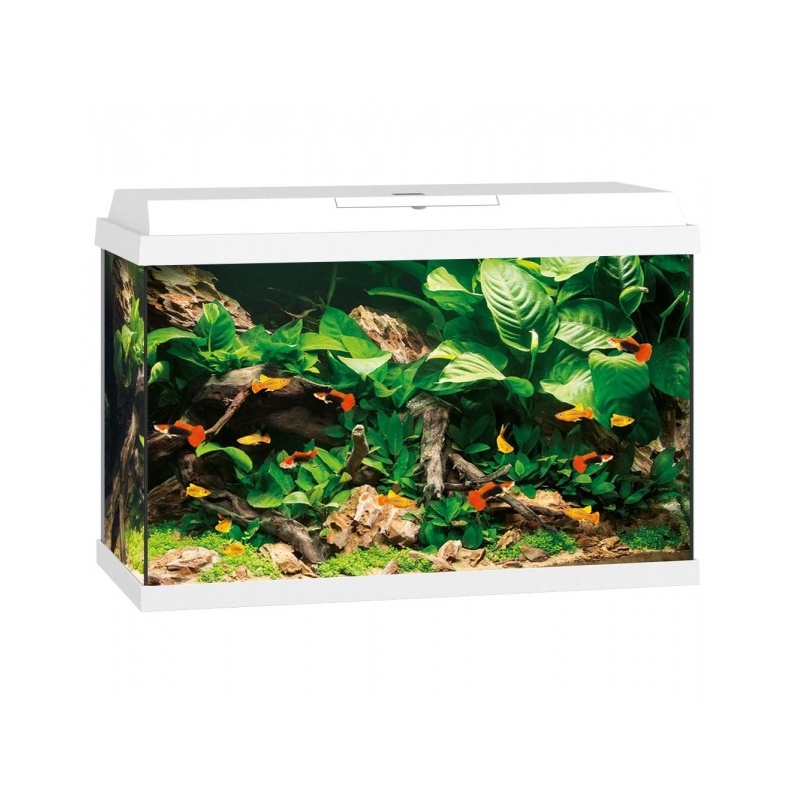 akvaarium-primo-led-70-l.jpg