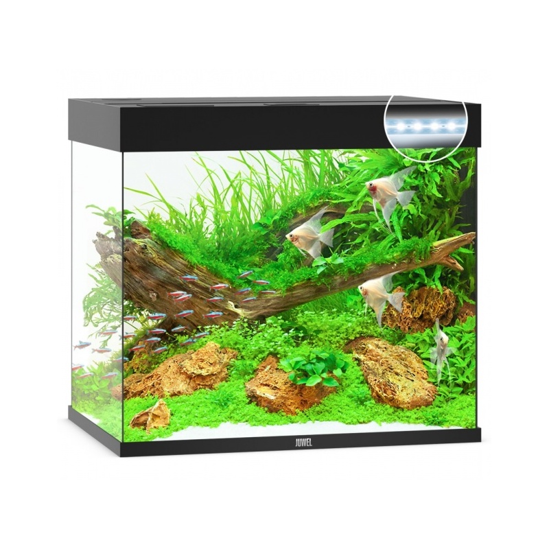 akvaarium-lido-led-200-l.jpg