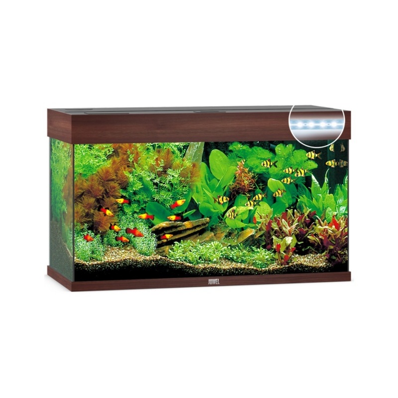 akvaarium-rio-led-125-l-.jpeg