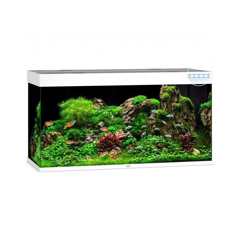 akvaarium-rio-led-350-l-1.jpg