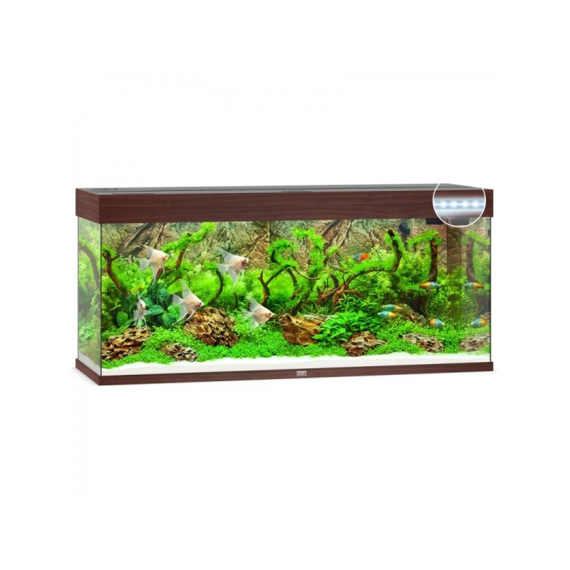 akvaarium-rio-led-240-l-1.jpg