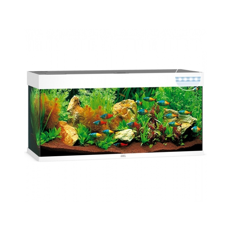 akvaarium-rio-led-240-l-2.jpg