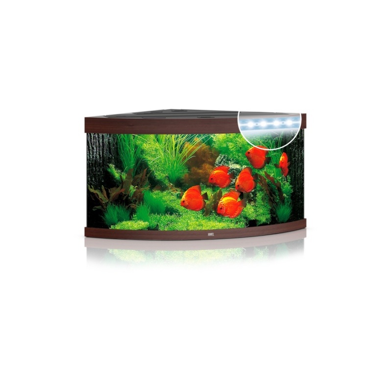 akvaarium-trigon-led-350.jpeg