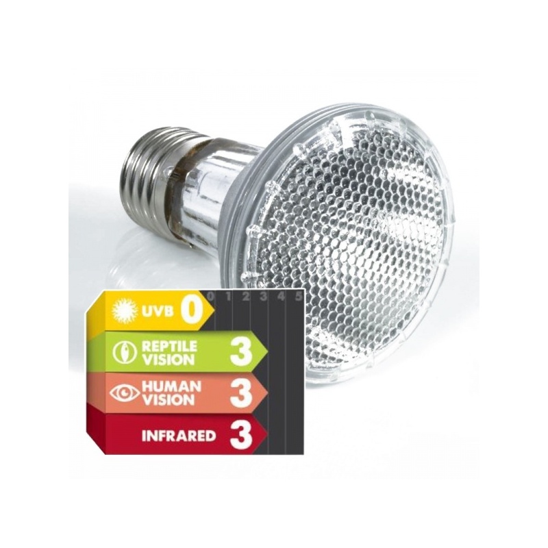 komodo-halogen-50w-halog-5.jpg