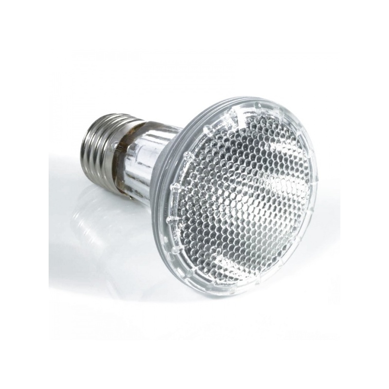 komodo-halogen-50w-halog-7.jpg