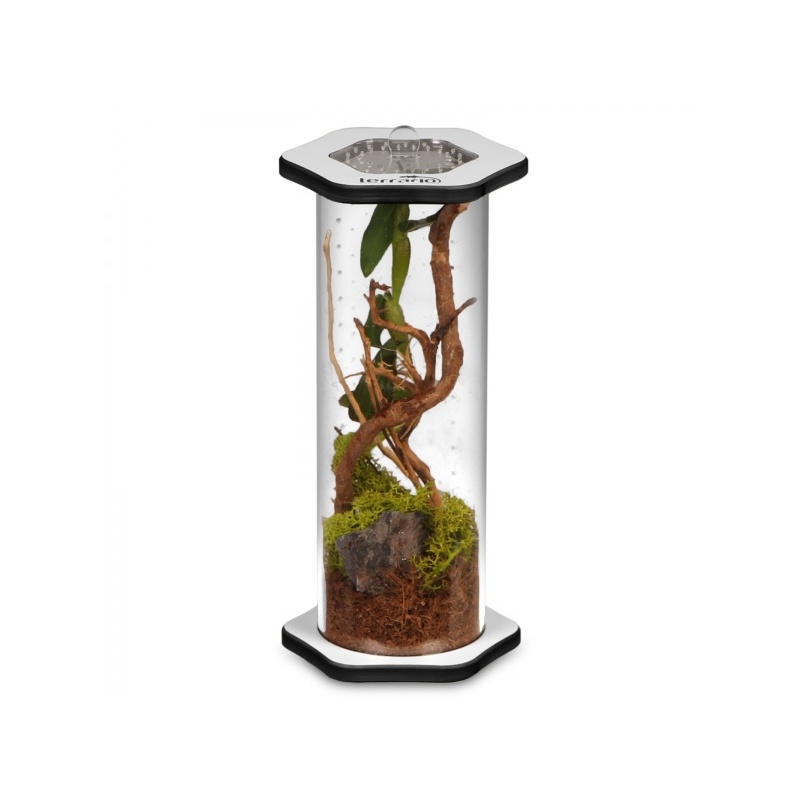 terrario-spiders-tube-bi-40.jpg