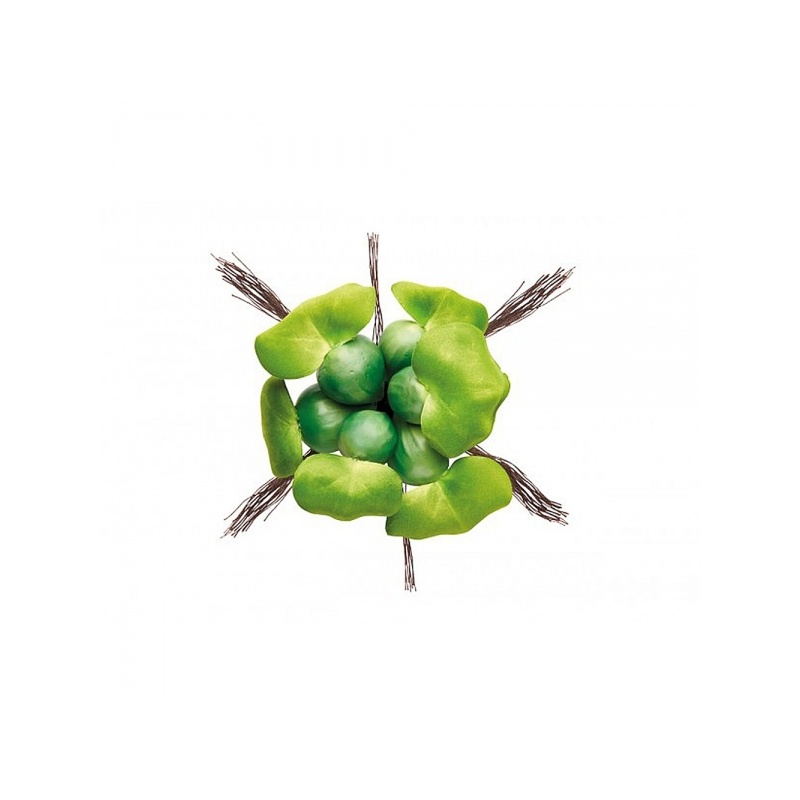 pontec-pondohyacinth-ply-1.jpg