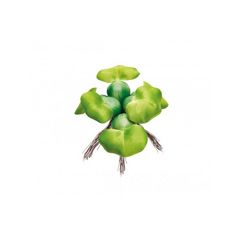 pontec-pondohyacinth-ply-2.jpg
