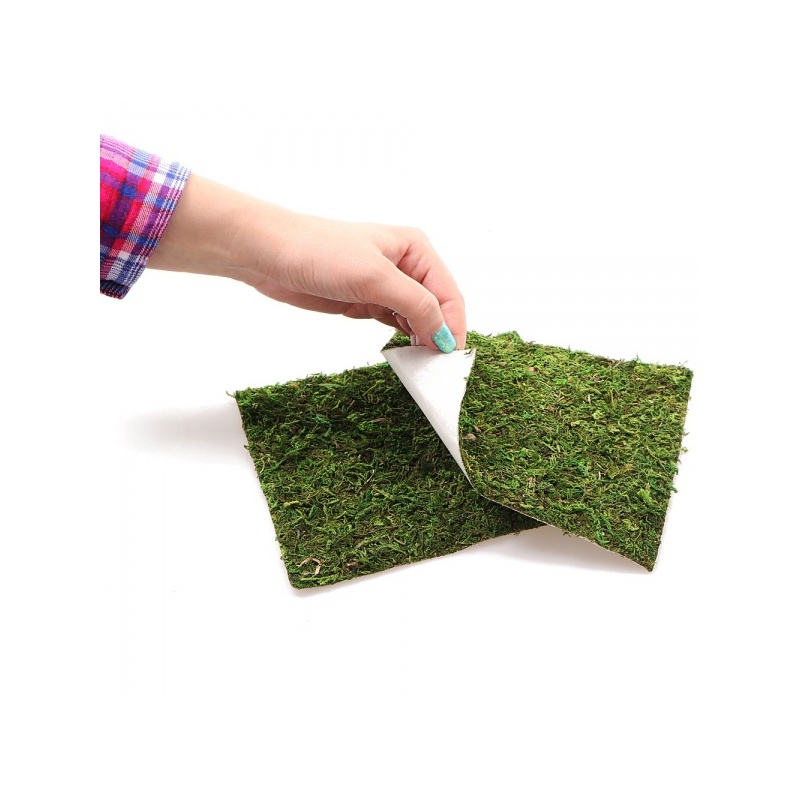 repti-zoo-natural-mossy-46.jpg