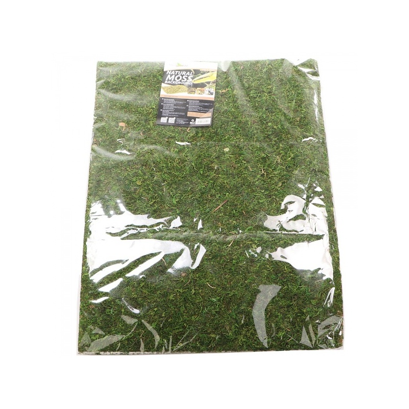 repti-zoo-natural-mossy-51.jpg