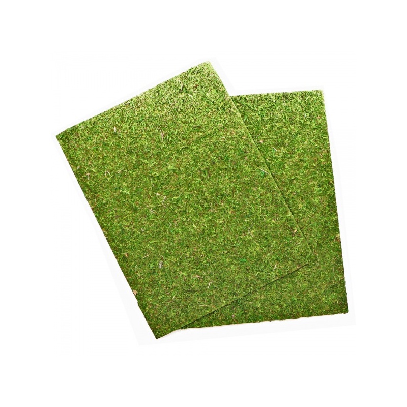repti-zoo-natural-mossy-53.jpg