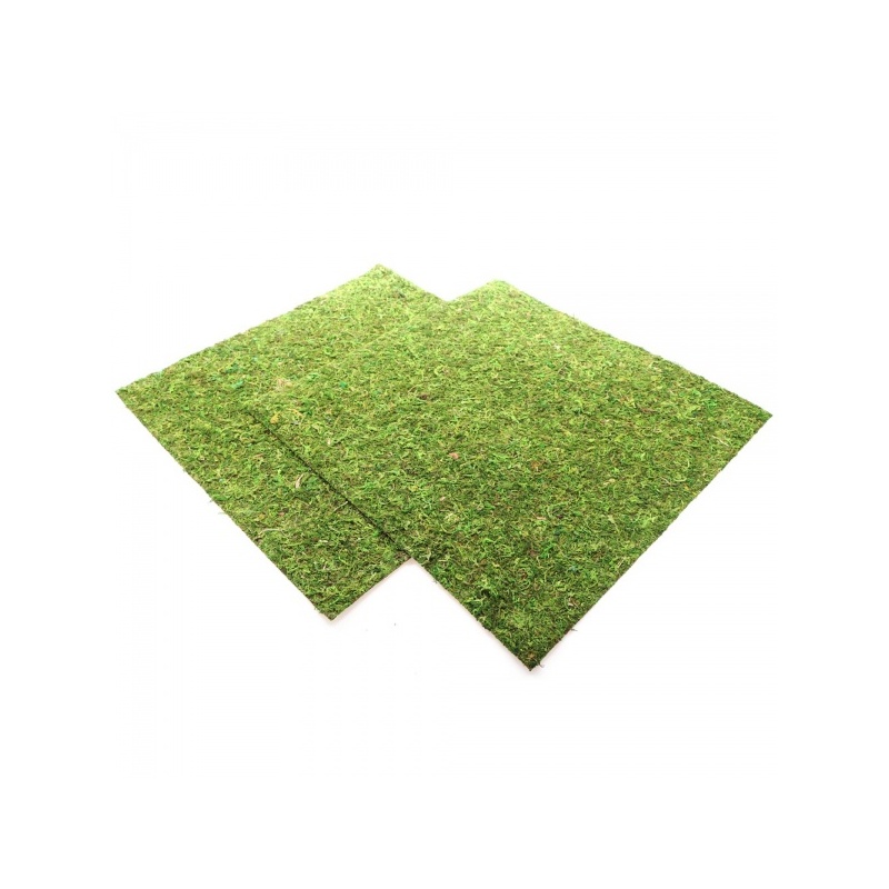 repti-zoo-natural-mossy-57.jpg