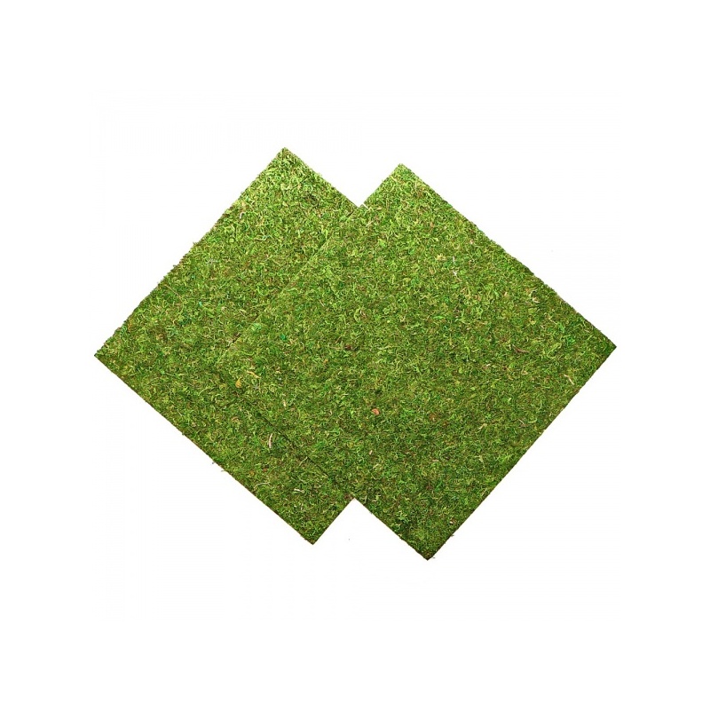 repti-zoo-natural-mossy-58.jpg