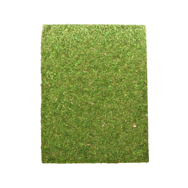 repti-zoo-natural-mossy-60.jpg