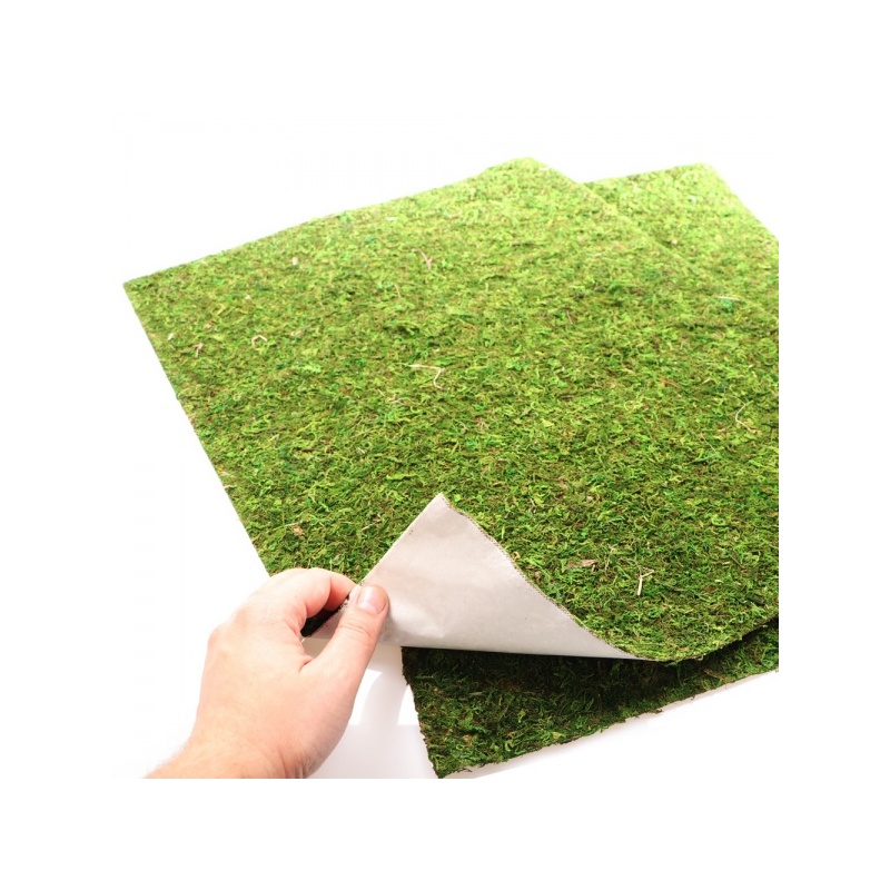 repti-zoo-natural-mossy-62.jpg