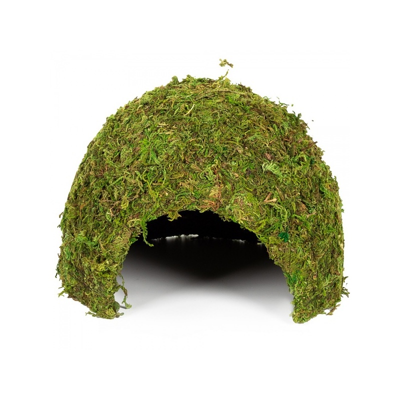 repti-zoo-natural-mossy-66.jpg