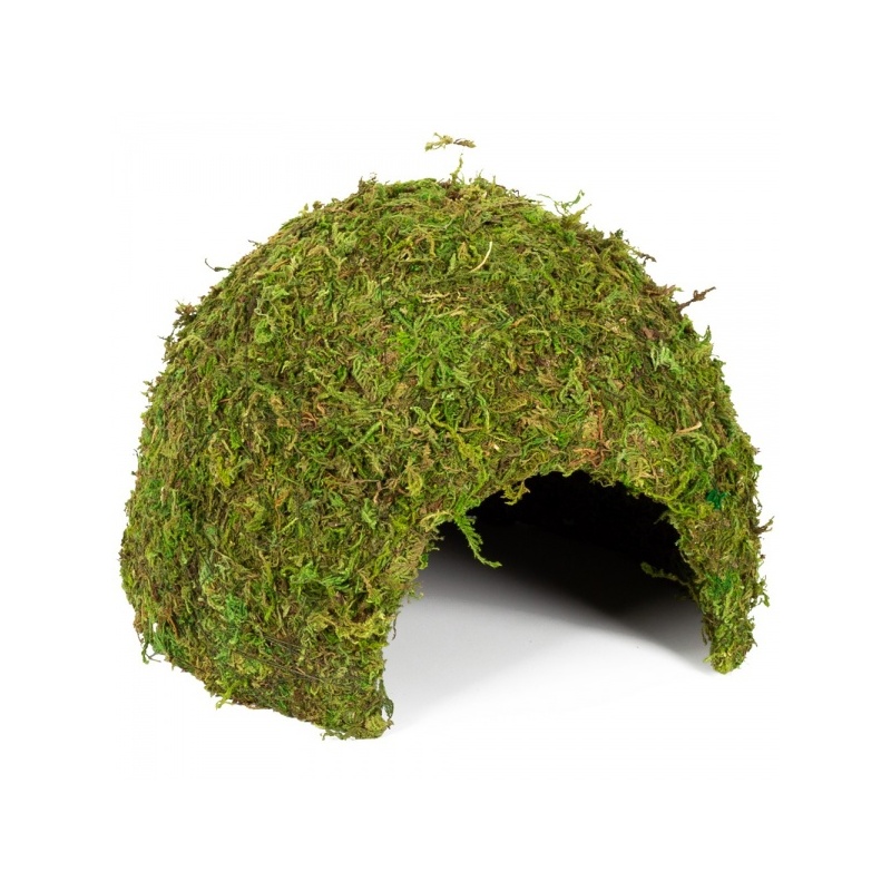 repti-zoo-natural-mossy-67.jpg