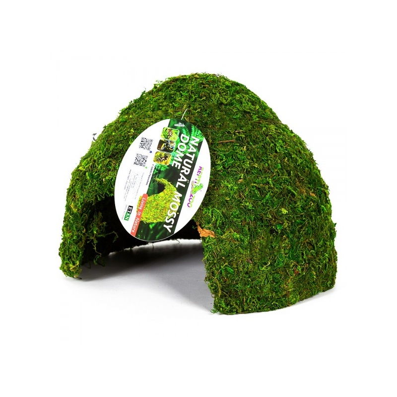 repti-zoo-natural-mossy-68.jpg