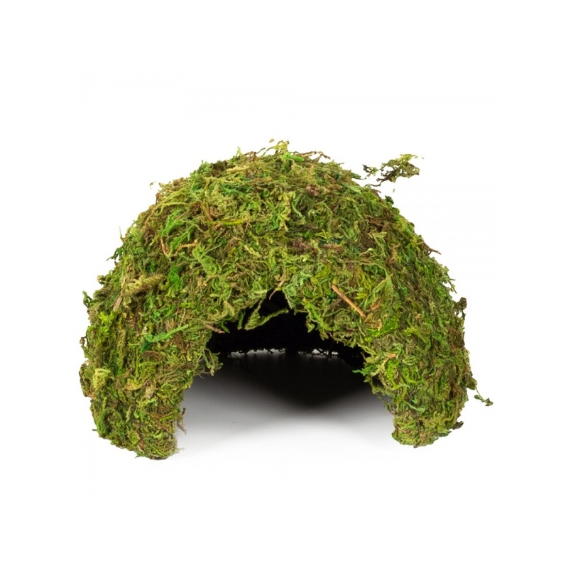 repti-zoo-natural-mossy-71.jpg