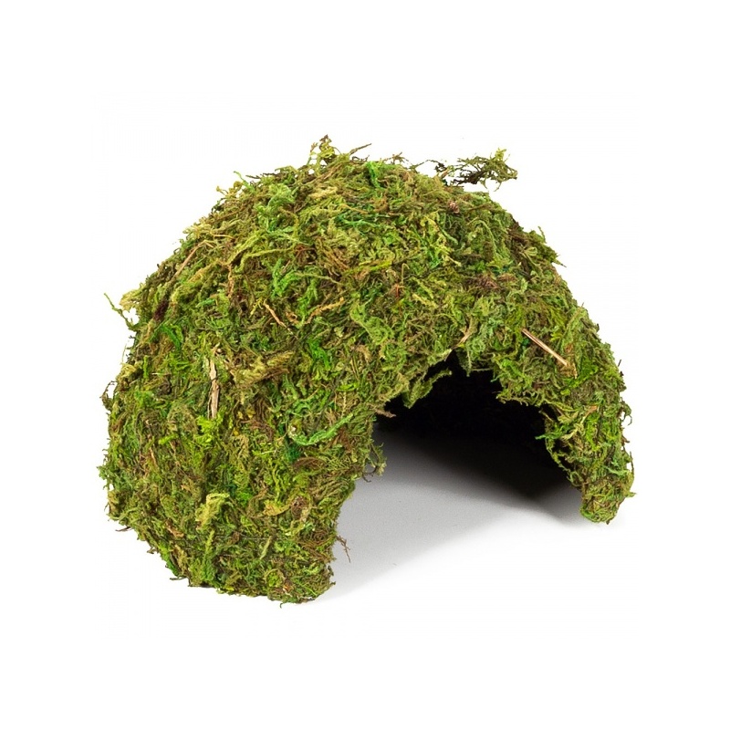 repti-zoo-natural-mossy-72.jpg