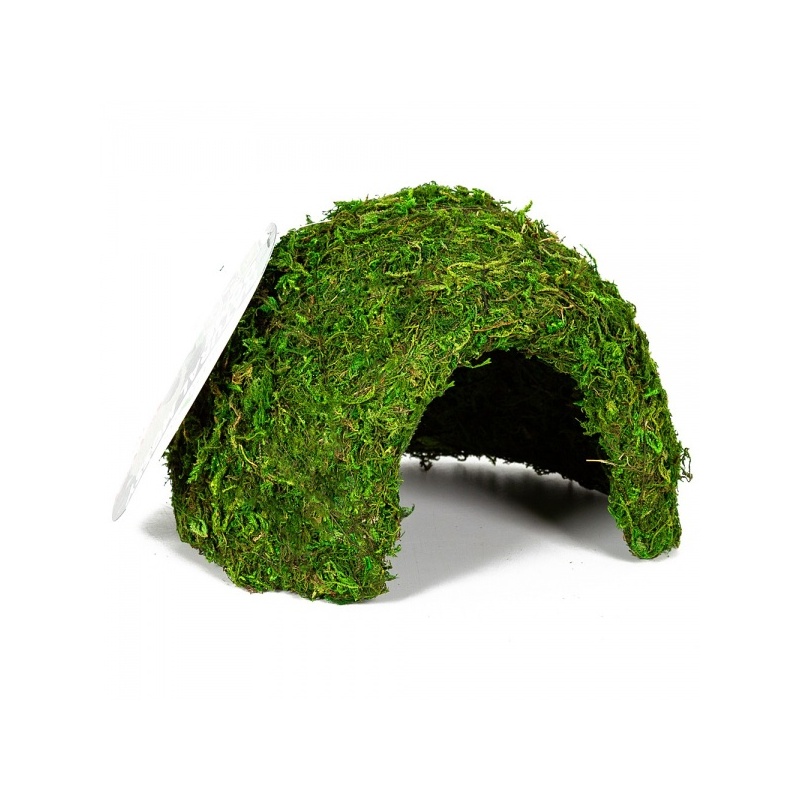 repti-zoo-natural-mossy-73.jpg