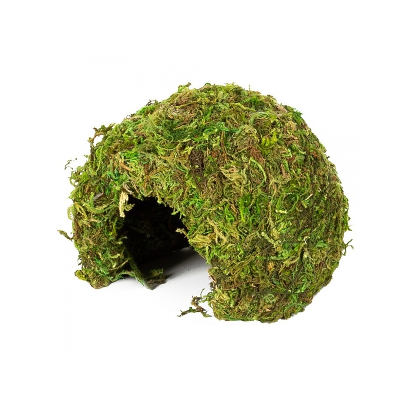 repti-zoo-natural-mossy-75.jpg