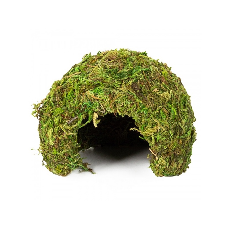repti-zoo-natural-mossy-76.jpg