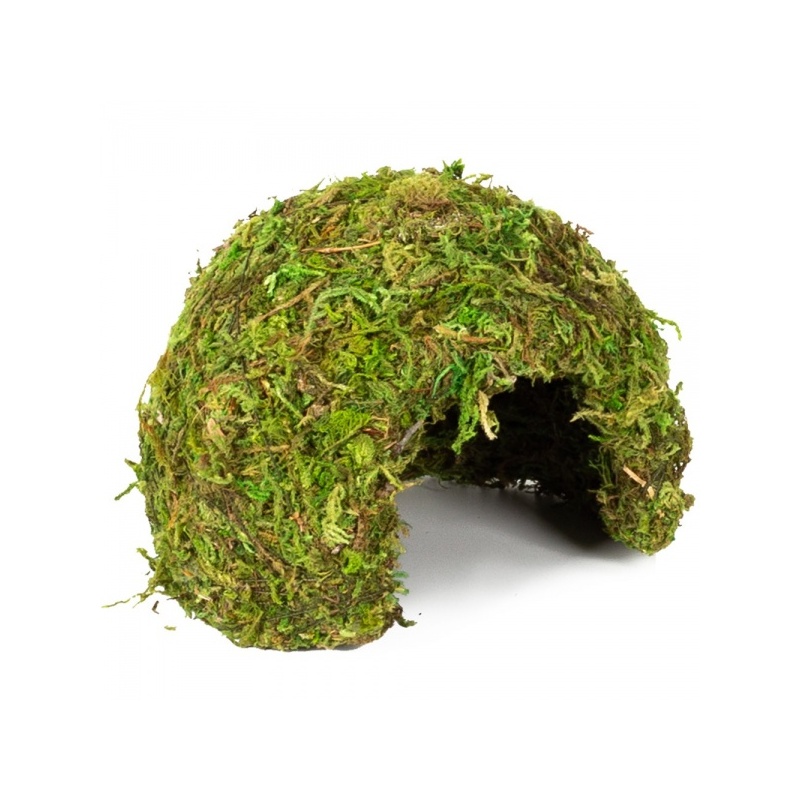 repti-zoo-natural-mossy-77.jpg