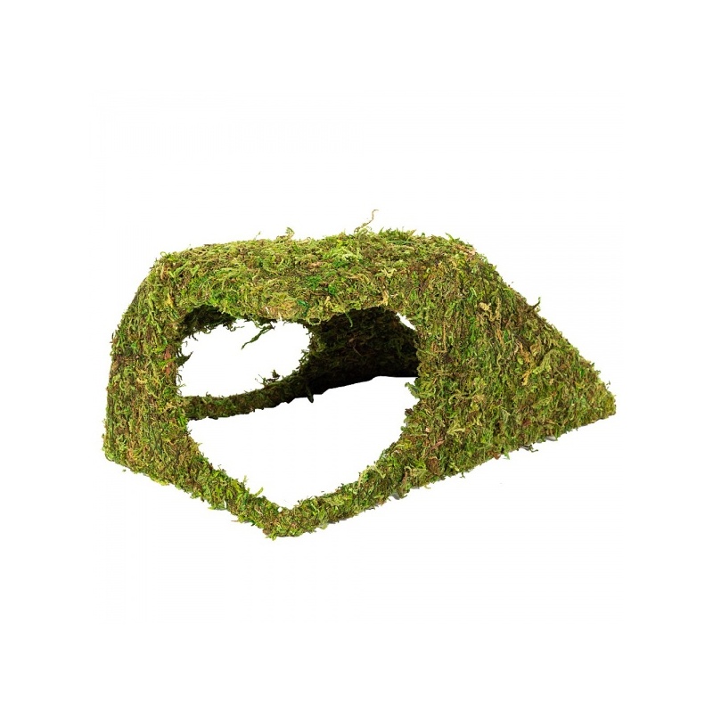 repti-zoo-natural-mossy-82.jpg