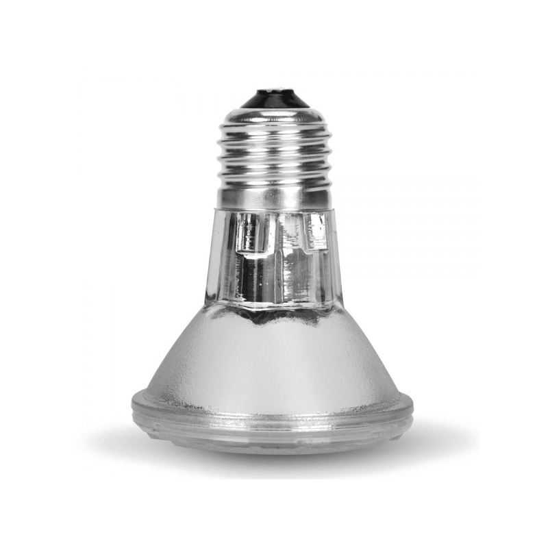 repti-zoo-halogen-grzewc-37.jpg